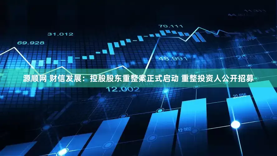 源顺网 财信发展：控股股东重整案正式启动 重整投资人公开招募